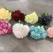 缩略图 2