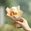 缩略图 8