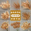 缩略图 1