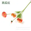 缩略图 6