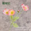 缩略图 7