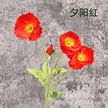 缩略图 8