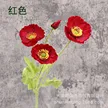 缩略图 5