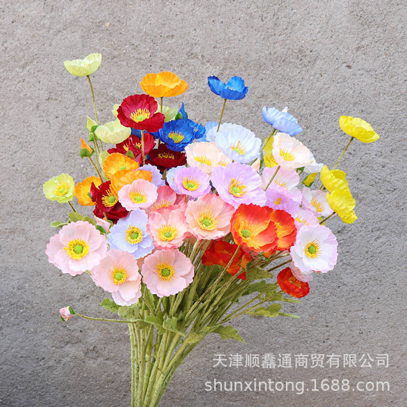 8头虞美人.jpg