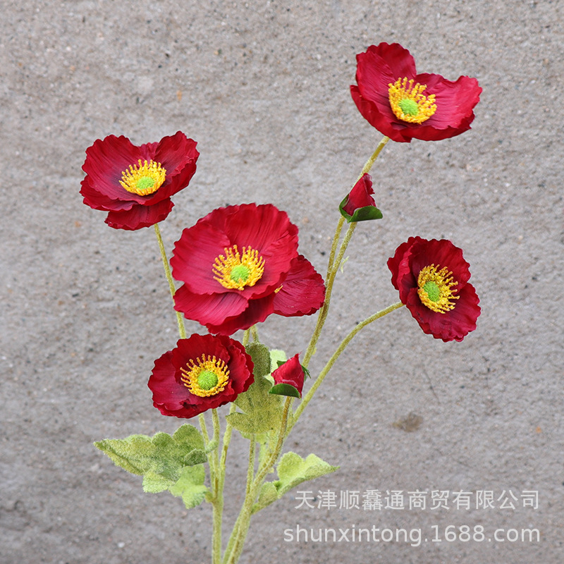 8头虞美人红色.jpg