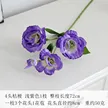 缩略图 9