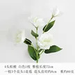 缩略图 5