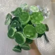缩略图 8