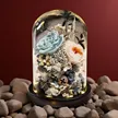 缩略图 1