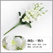 缩略图 8