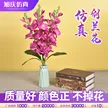缩略图 1