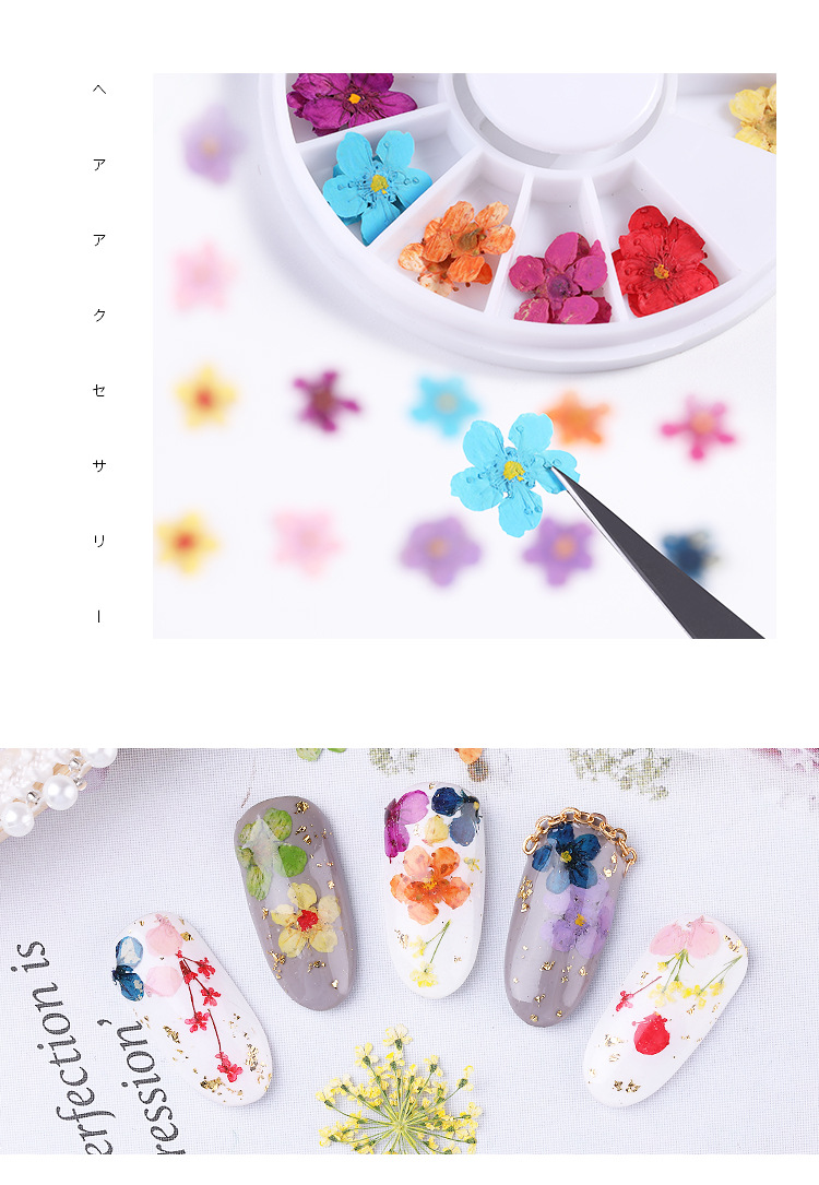 美甲干花 蕾丝干花 水仙花