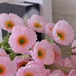 缩略图 4