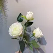 缩略图 3