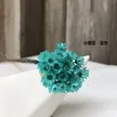 缩略图 8