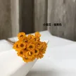 缩略图 5