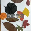 缩略图 5
