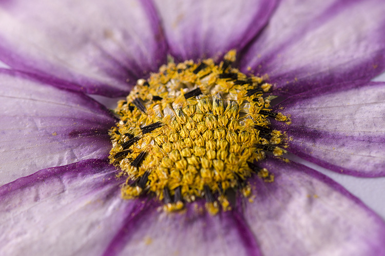 DSC_3519.jpg