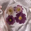 缩略图 2