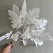 缩略图 2