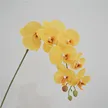 缩略图 8