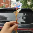 缩略图 5