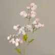 缩略图 7