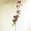 缩略图 5
