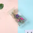 缩略图 1