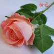 缩略图 8