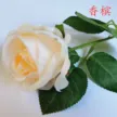 缩略图 7