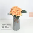 缩略图 9