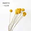 缩略图 10