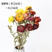 缩略图 6