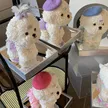 缩略图 1