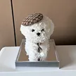 缩略图 5