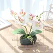 缩略图 3