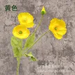 缩略图 7