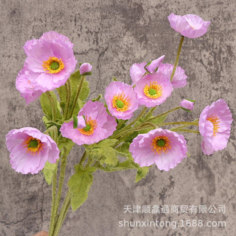 植绒春款虞美人紫色1.jpg