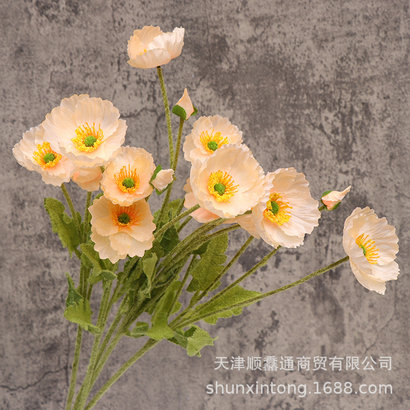 植绒春款虞美人香槟色1.jpg