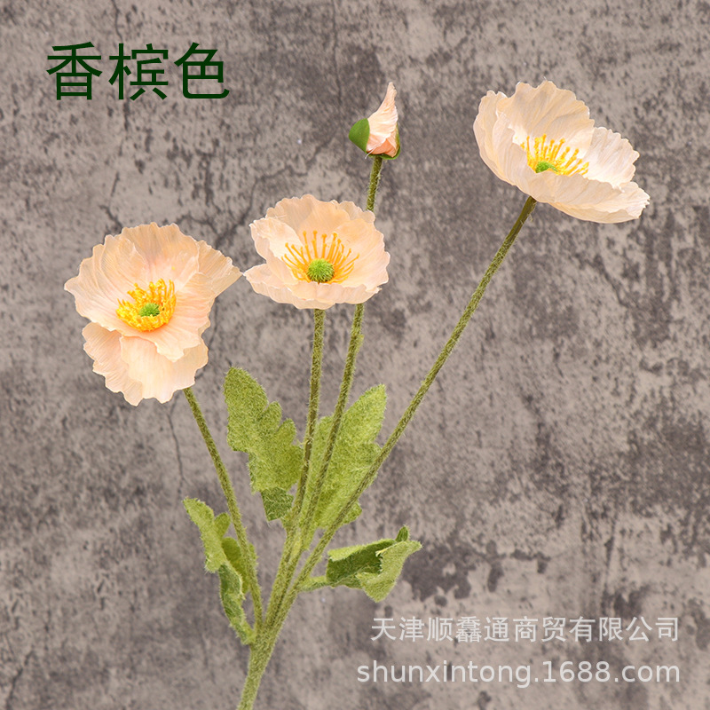 植绒春款虞美人香槟色2.jpg