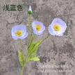 缩略图 1