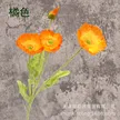 缩略图 8