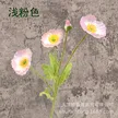缩略图 3