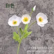 缩略图 5