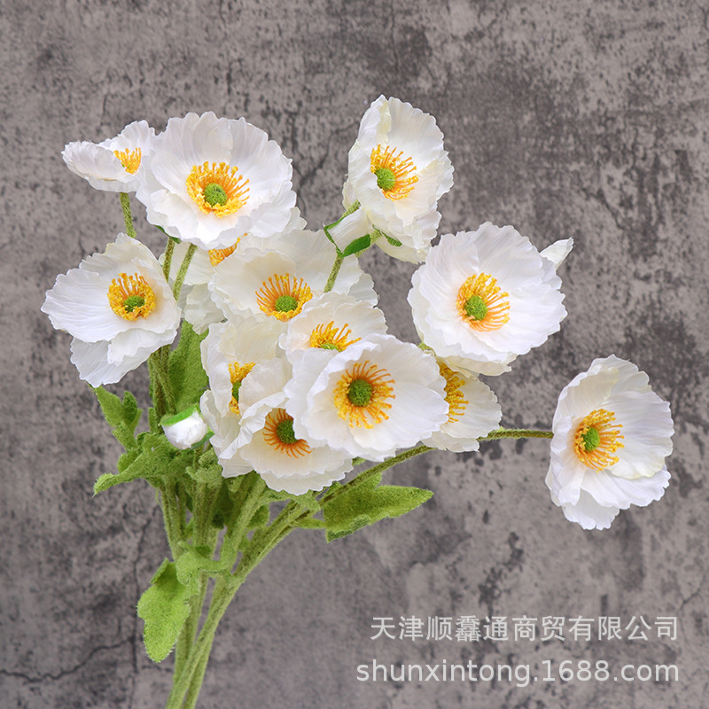 植绒春款虞美人白色1.jpg