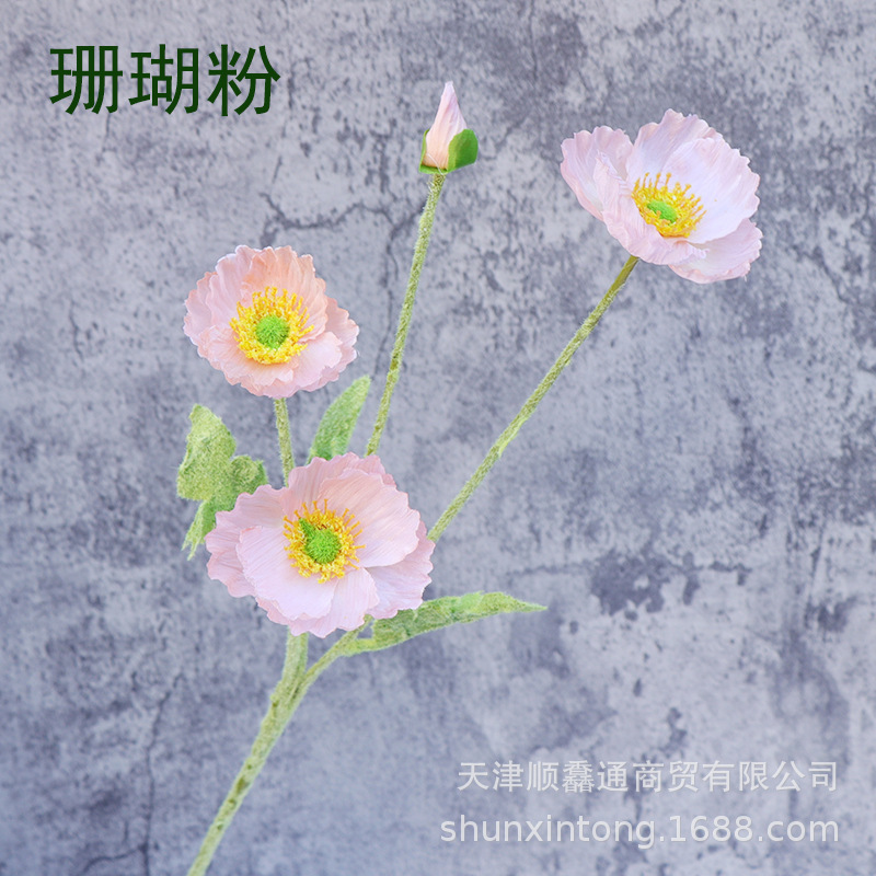 虞美人珊瑚色3