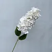 缩略图 8
