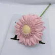 缩略图 2