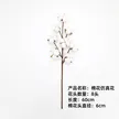 缩略图 4